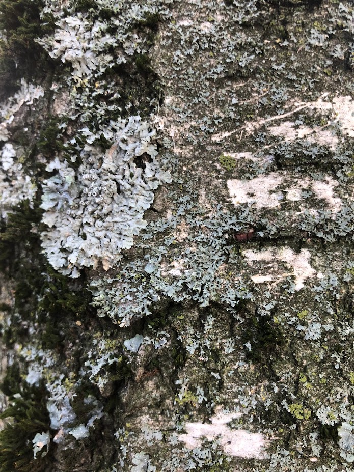 Octobre 2025 | en guise de lettre d'information